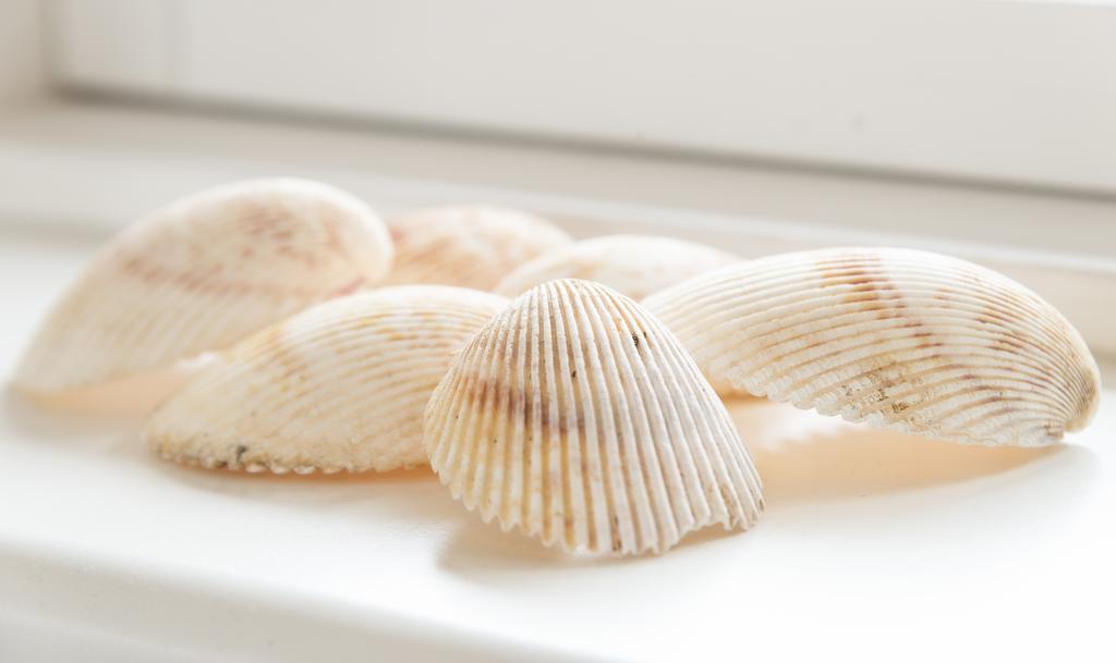 Nordliv Strand Hasle المظهر الخارجي الصورة